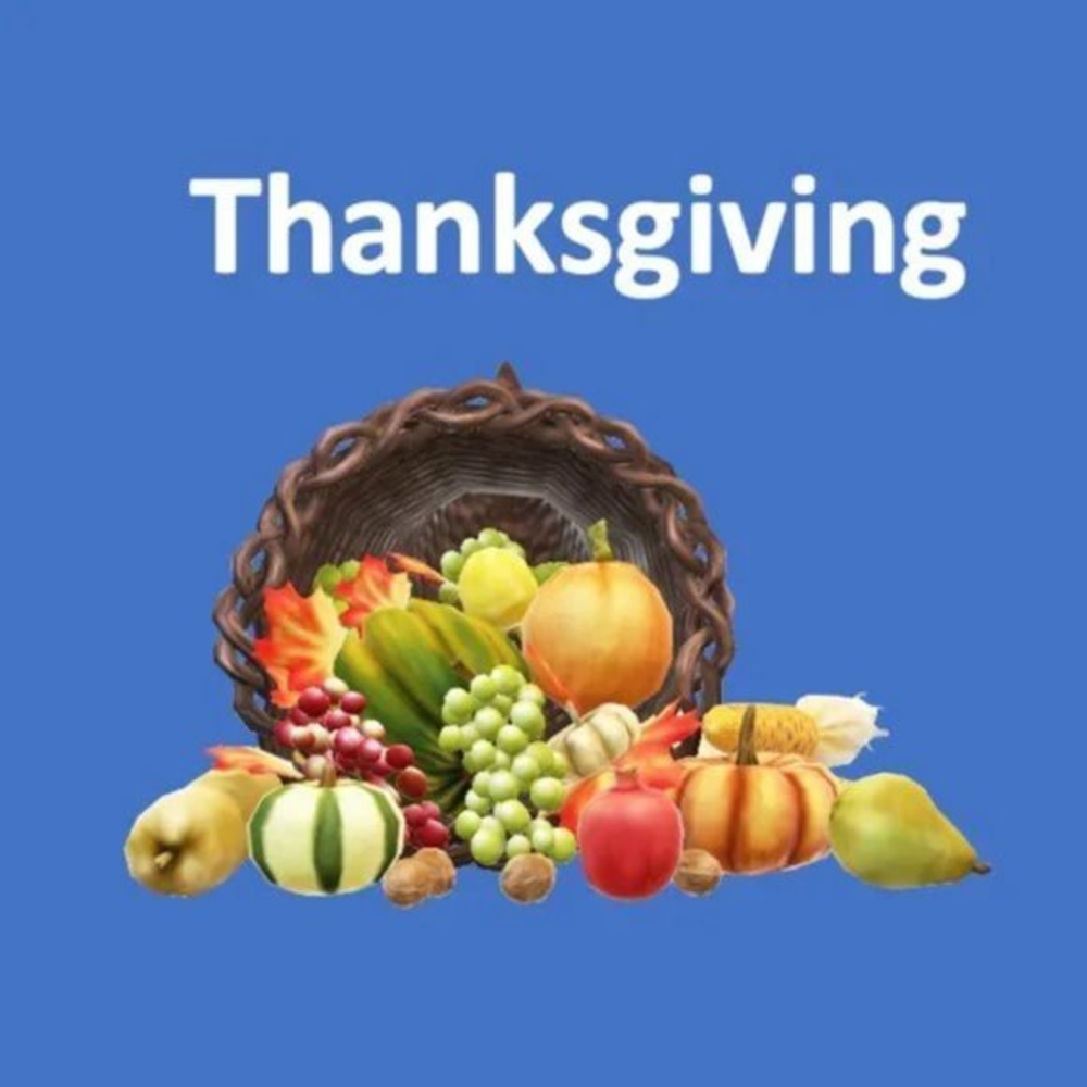Thanksgiving & Seasonal Finds – Something for Everyone!